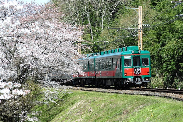 <和歌山県>新緑の世界遺産 高野山満喫の旅 奥之院めぐり~観光列車こうや花鉄道「天空」にもご乗車~【緑が丘・西神中央出発】1